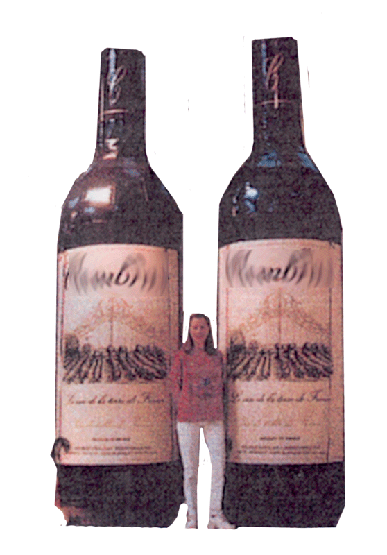 Bouteille de vin 4 m - Promociel