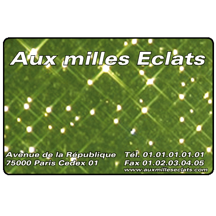 Cartes de visite coins arrondis recto verso les 10000 ex - Promociel