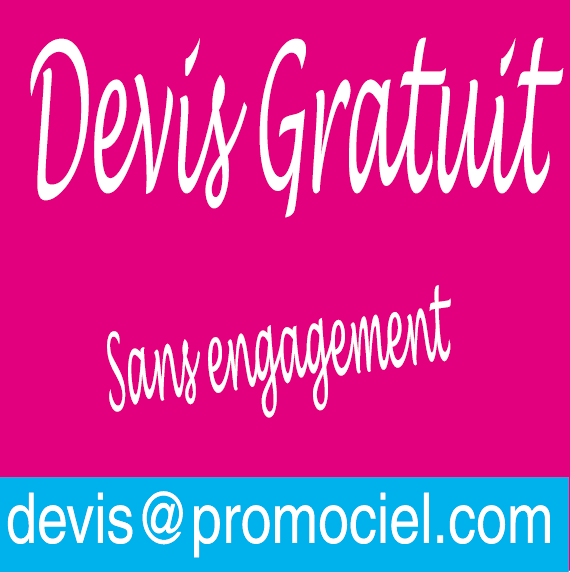 Devis gratuit pour vos cartes plastiques &agrave; rabats - Promociel