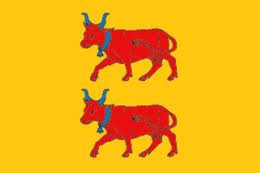 Drapeau bearn 200 x 300 cm - Promociel