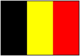 Drapeau adh&eacute;sif belgique 20 x 30 cm - Promociel