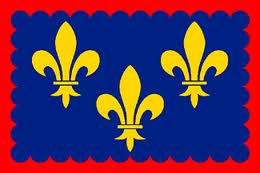 Drapeau berry 200 x 300 cm - Promociel