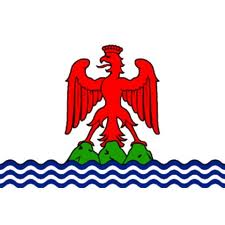 Drapeau comte de nice 200 x 300 cm - Promociel