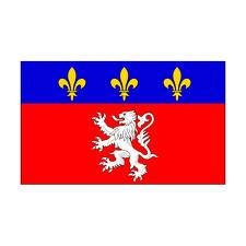 Drapeau lyonnais 150 x 225 cm - Promociel
