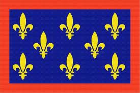 Drapeau maine 120 x 180 cm - Promociel