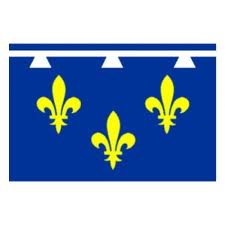 Drapeau orl&eacute;anais 120 x 180 cm - Promociel