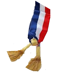 Echarpe tricolore or 200 cm - Promociel