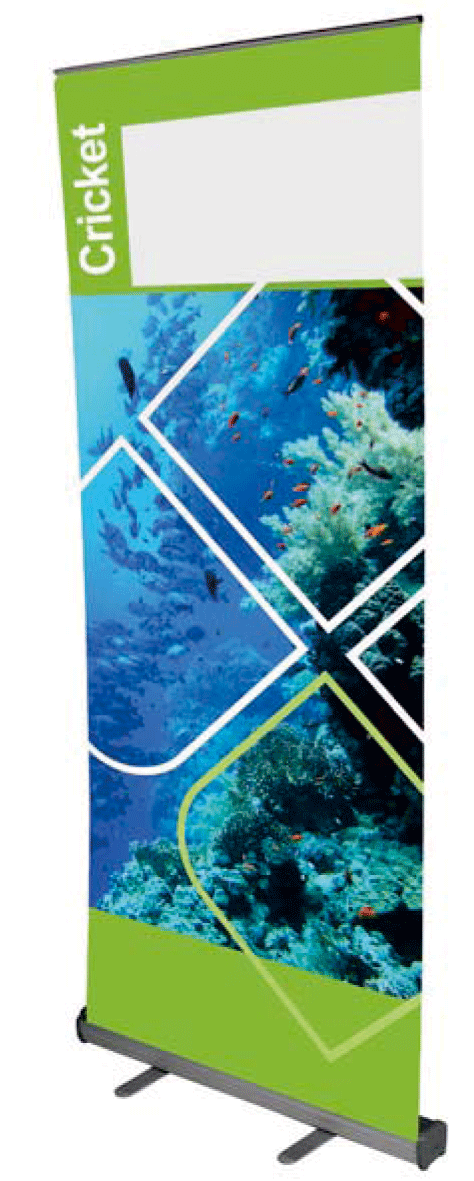 Roll up cricket structure seule - Promociel