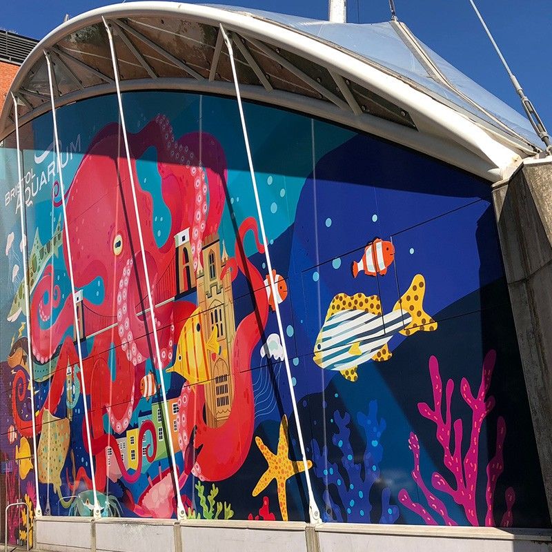 Vitrine commerce avec adhesif microperfore couvrant surface complete preservant vision interieure