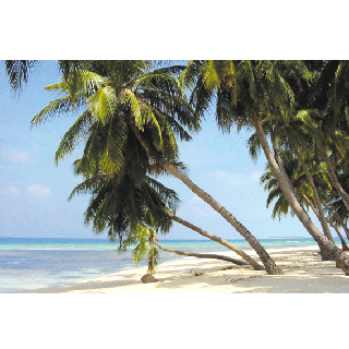 Cartes postales personnalisées les 3000 ex