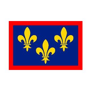 Drapeau Anjou 80 x 120 cm