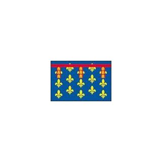 Drapeau Artois 80 x 120 cm