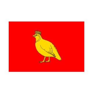 Drapeau Aunis 60 x 90 cm