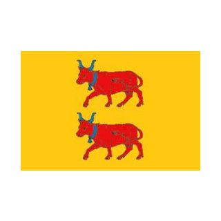 Drapeau Béarn 60 x 90 cm
