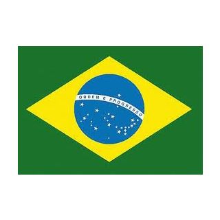 Drapeau Brésil 100 x 150 cm