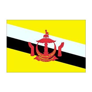 Drapeau Brunei 150 x 225 cm