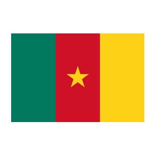 Drapeau Cameroun 120 x 180 cm
