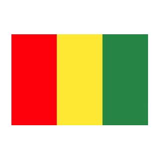 Drapeau Guinée 200 x 300 cm