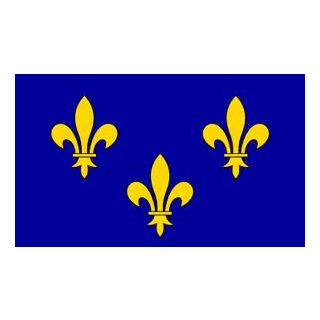 Drapeau Ile de France 100 x 150 cm