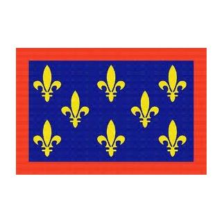 Drapeau Maine 80 x 120 cm