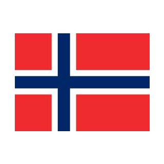 Drapeau Norvège 100 x 150 cm
