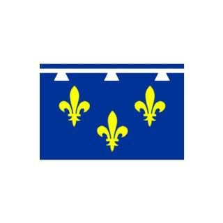 Drapeau Orléanais 100 x 150 cm