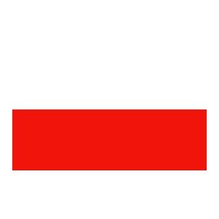 Drapeau Pologne
