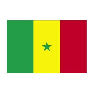 Drapeau Sénégal 120 x 180 cm