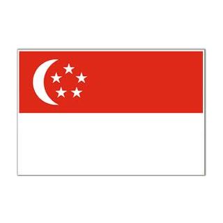 Drapeau Singapour 200 x 300 cm