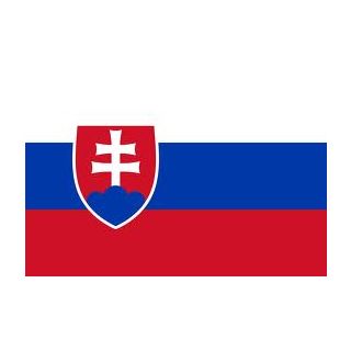 Drapeau Slovaquie 200 x 300 cm
