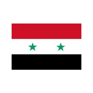Drapeau Syrie 100 x 150 cm