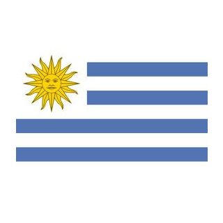 Drapeau Uruguay 200 x 300 cm