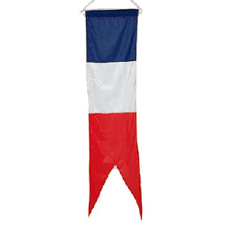 Oriflamme France 80 x 300 cm