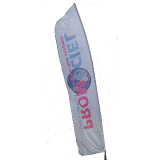 Promovoile