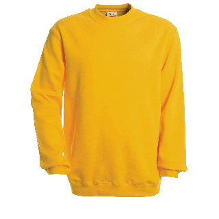 Sweat set in 1 couleur 50 ex