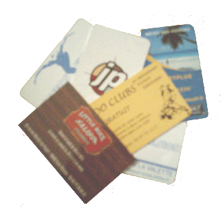 Cartes plastiques personnalisées les 1000 ex
