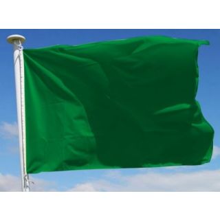 Drapeau de baignade vert 125 x 150 cm