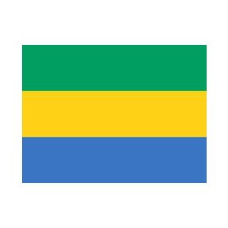 Drapeau du Gabon 200 x 300 cm