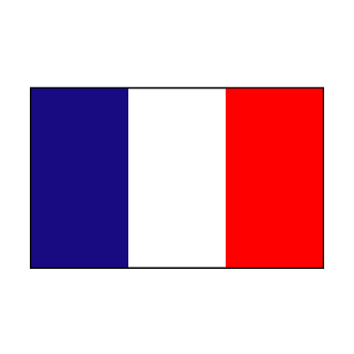 Drapeau adhésif France format 20 x 30 cm à l'unité