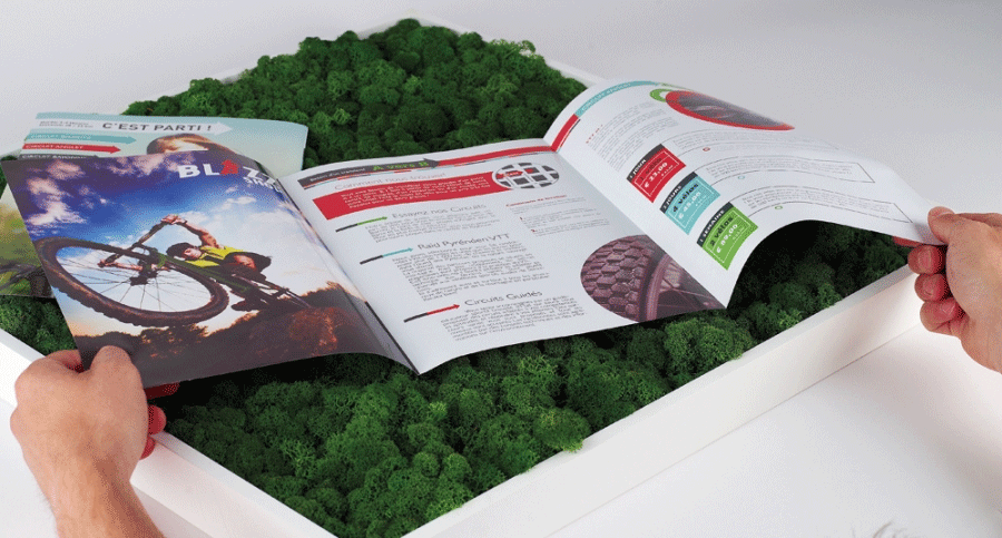 Dépliants a3 les 3000 ex - Promociel