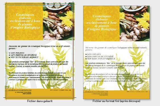 Dépliants offset a4, les 4000 ex - Promociel