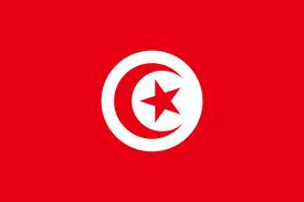 Pavillon tunisie 120 x 180 - Promociel