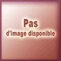 Mandat simple de vente immobilier (chez mandataire) les 100 liasses - Promociel