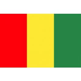 Drapeau Guinée 120 x 180 cm - véritable drapeau Guinéen en tissu : Promociel