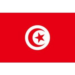 Drapeau Tunisie 200 x 300 cm - véritable drapeau Tunisien en tissu :  Promociel