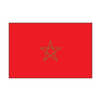 Drapeau Maroc 100 x 150 cm