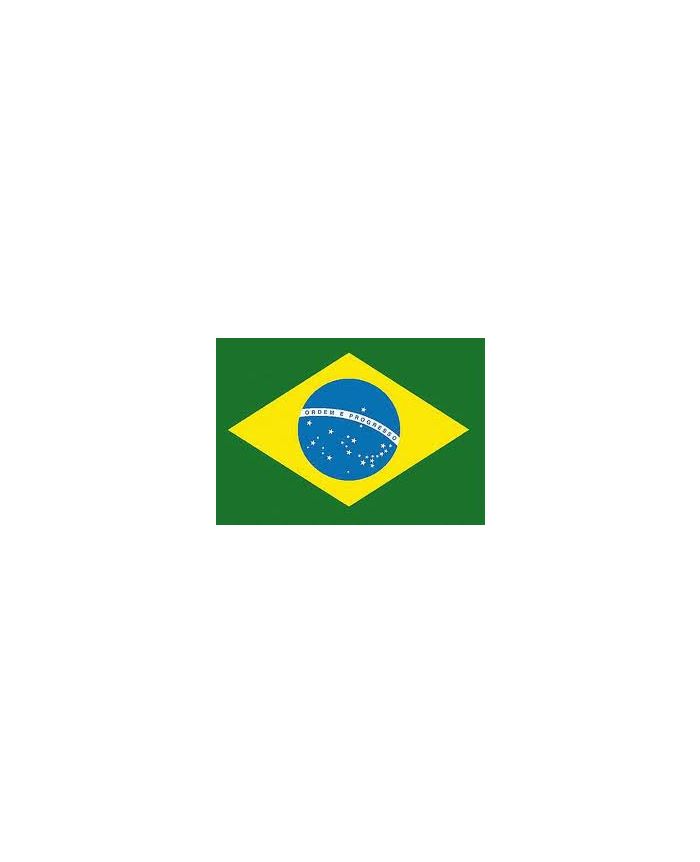 Fanion Cruzeiro EC (Brésil) – Drapeau Tissu 40 Cm – Neuf