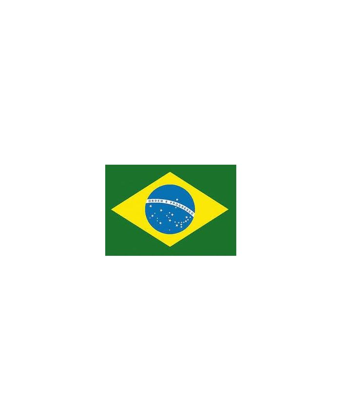 Drapeau brésil