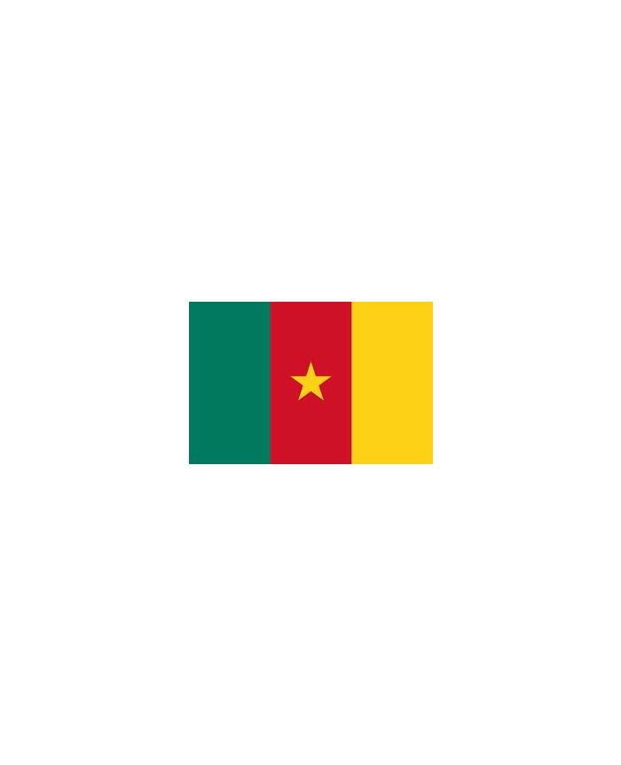 Drapeau Cameroun 200 x 300 cm - véritable drapeau Camerounais en tissu :  Promociel