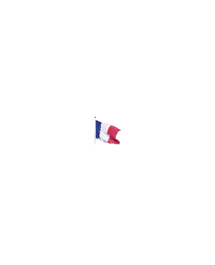 Petit drapeau francais avec son mât en bois